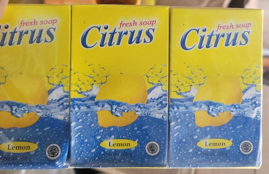 Citrus Lemon Fresh Soap, 6 packs