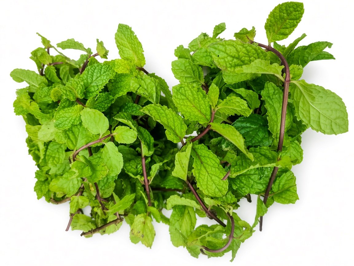 Mint herb (Nanaa), 1 pack