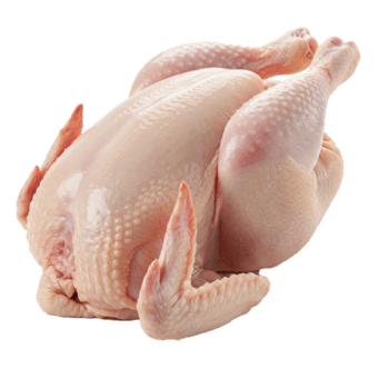 Fresh Broiler Chickens (Kuku wa Nyama), 1kg