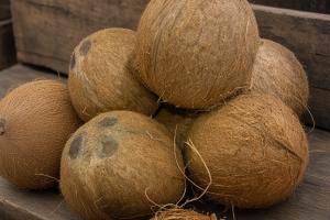 Fresh Coconut(Nazi), Medium Size, 5 packs