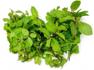 Mint herb (Nanaa), 1 pack